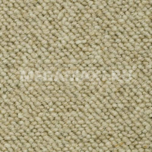 Премиум Ковролин Шерсть 100% 5589 (Бельгия) Премиум Ковролин Шерсть 100% 5589 (Бельгия)